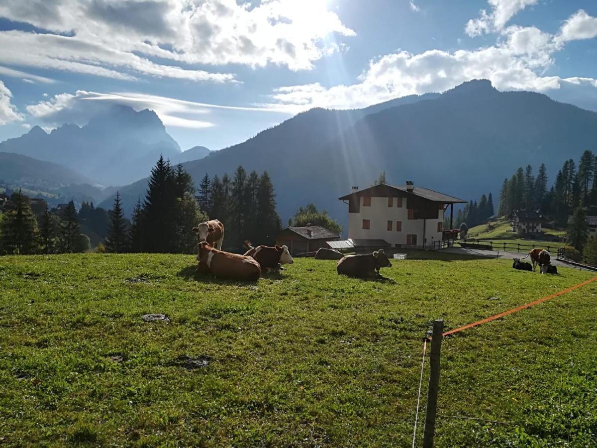 Cesa De Conesel Apartment Colle Santa Lucia Bagian luar foto